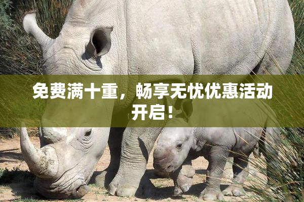 免费满十重，畅享无忧优惠活动开启！