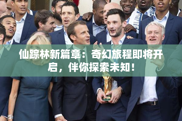 仙踪林新篇章：奇幻旅程即将开启，伴你探索未知！