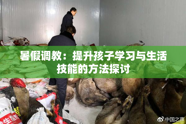 暑假调教：提升孩子学习与生活技能的方法探讨