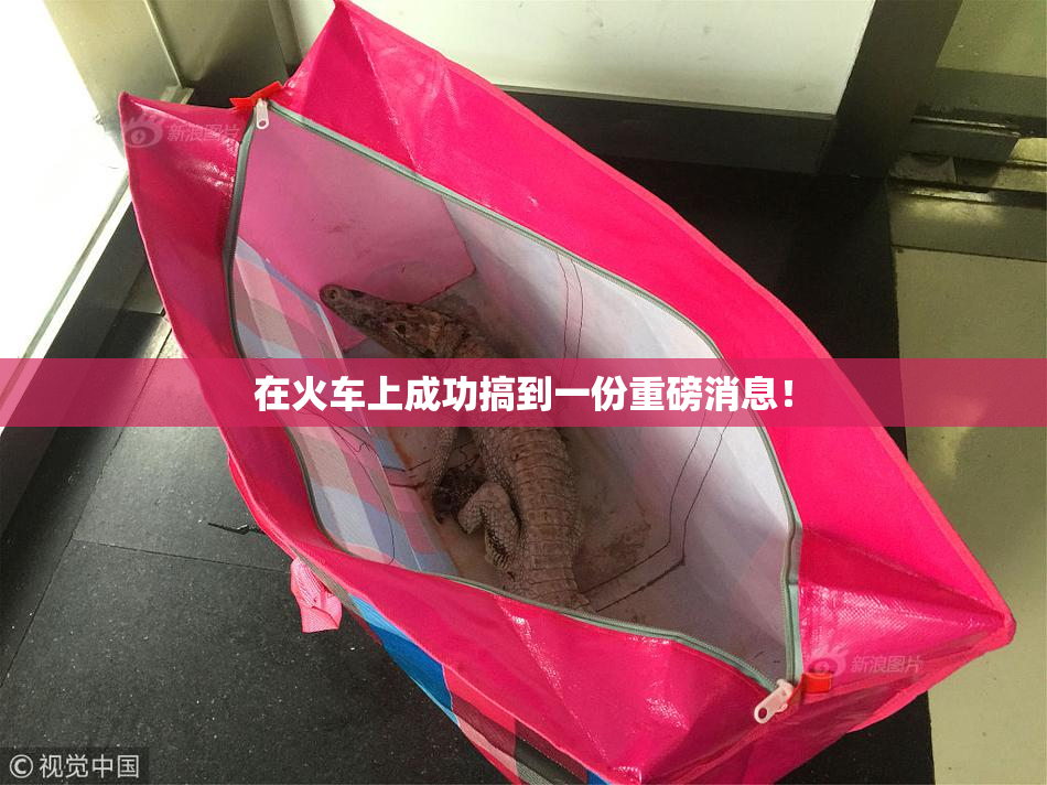 在火车上成功搞到一份重磅消息！