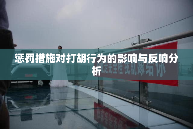 惩罚措施对打胡行为的影响与反响分析
