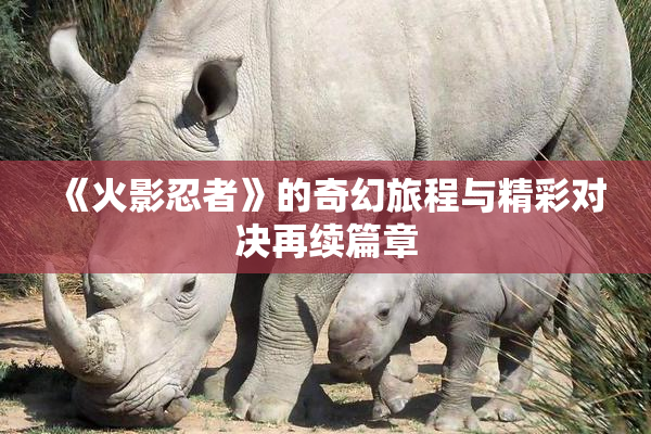 《火影忍者》的奇幻旅程与精彩对决再续篇章