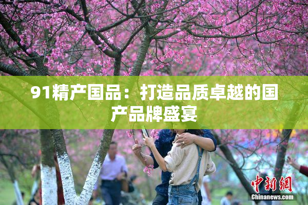 91精产国品：打造品质卓越的国产品牌盛宴