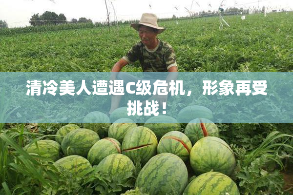 清冷美人遭遇C级危机，形象再受挑战！