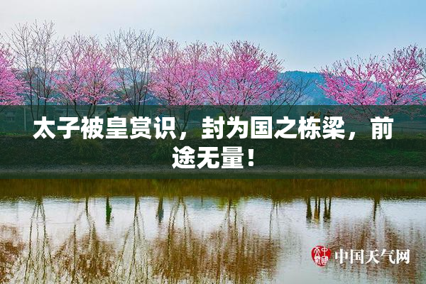 太子被皇赏识，封为国之栋梁，前途无量！