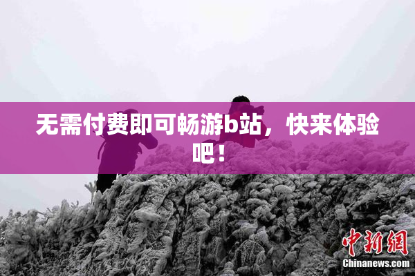 无需付费即可畅游b站，快来体验吧！