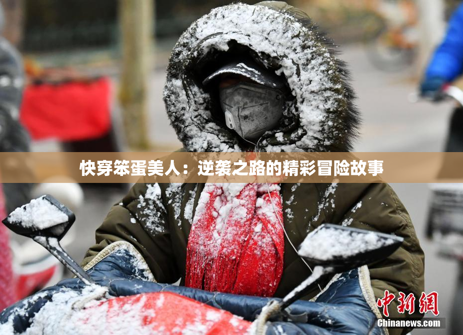快穿笨蛋美人：逆袭之路的精彩冒险故事