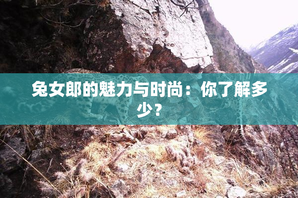 兔女郎的魅力与时尚：你了解多少？