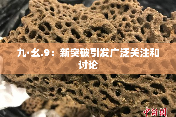 九·幺.9：新突破引发广泛关注和讨论