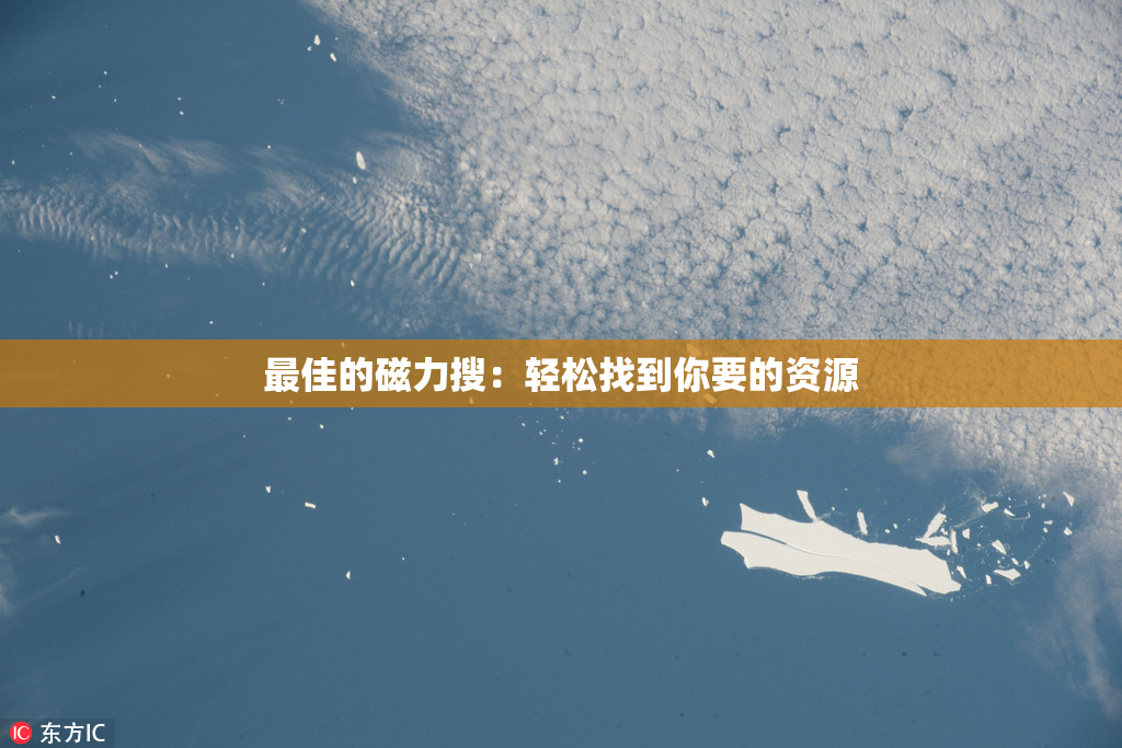 最佳的磁力搜：轻松找到你要的资源