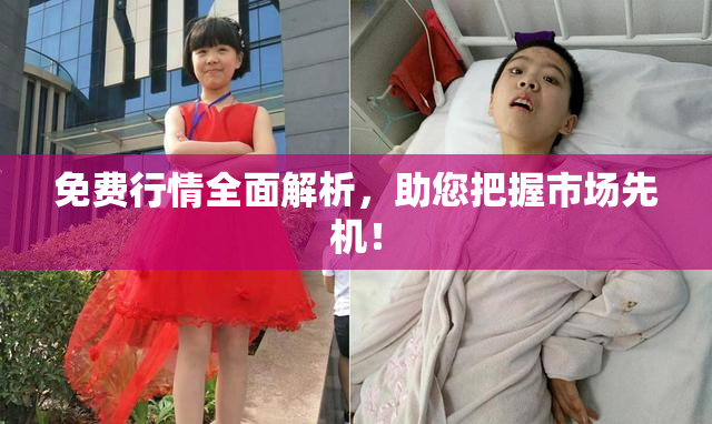 免费行情全面解析，助您把握市场先机！