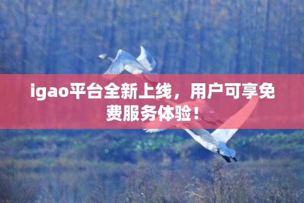 igao平台全新上线，用户可享免费服务体验！