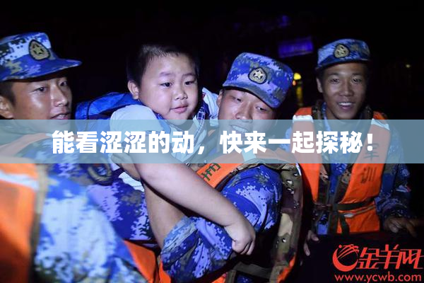 能看涩涩的动，快来一起探秘！