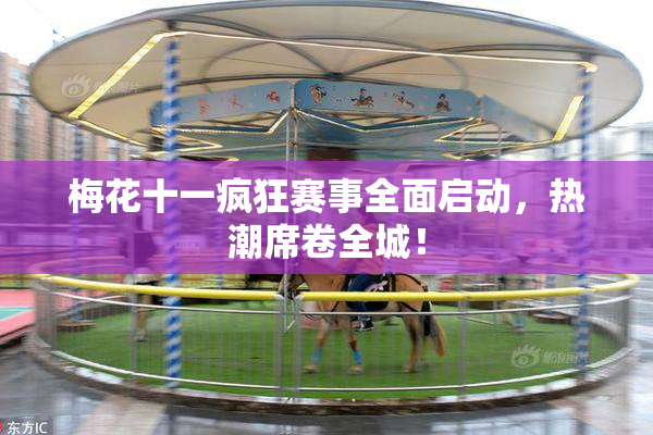 梅花十一疯狂赛事全面启动，热潮席卷全城！