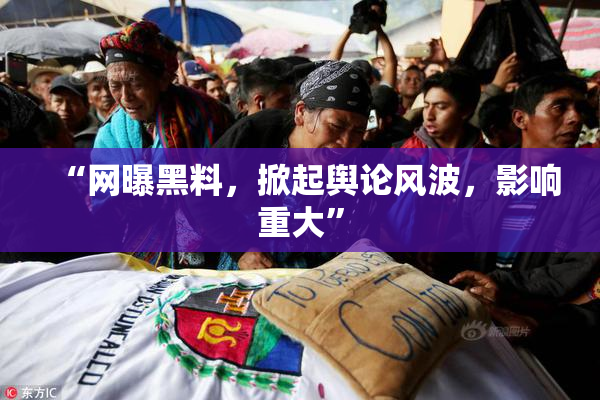“网曝黑料，掀起舆论风波，影响重大”