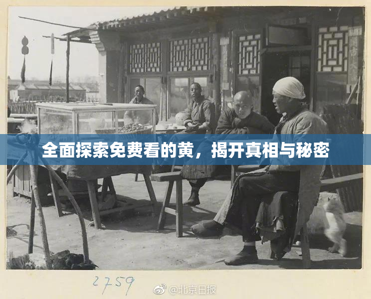 全面探索免费看的黄，揭开真相与秘密