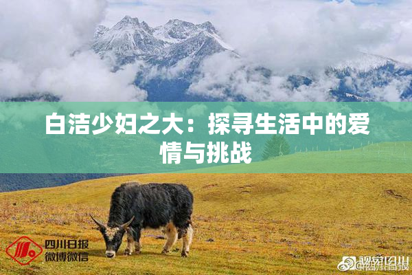 白洁少妇之大：探寻生活中的爱情与挑战