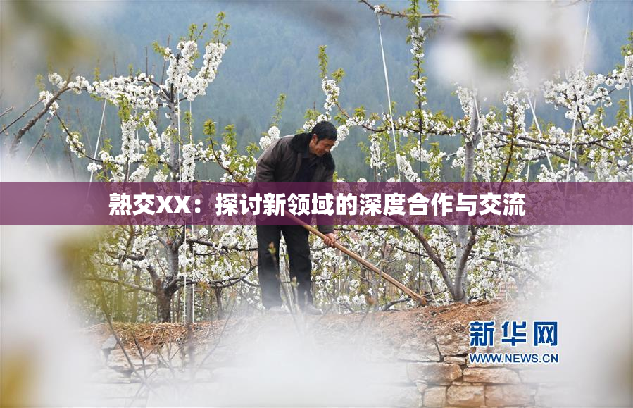 熟交XX：探讨新领域的深度合作与交流