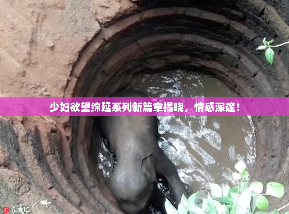 少妇欲望绵延系列新篇章揭晓，情感深邃！