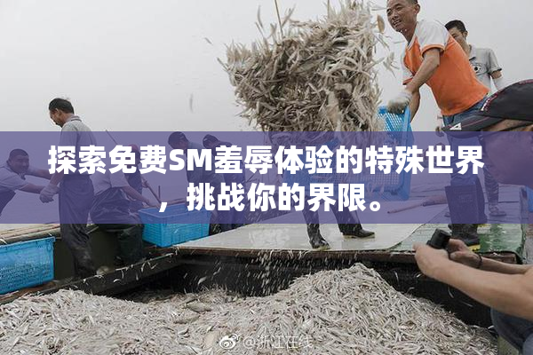 探索免费SM羞辱体验的特殊世界，挑战你的界限。