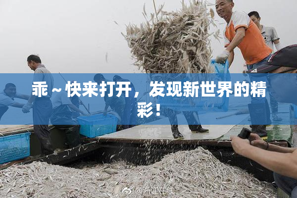 乖～快来打开，发现新世界的精彩！