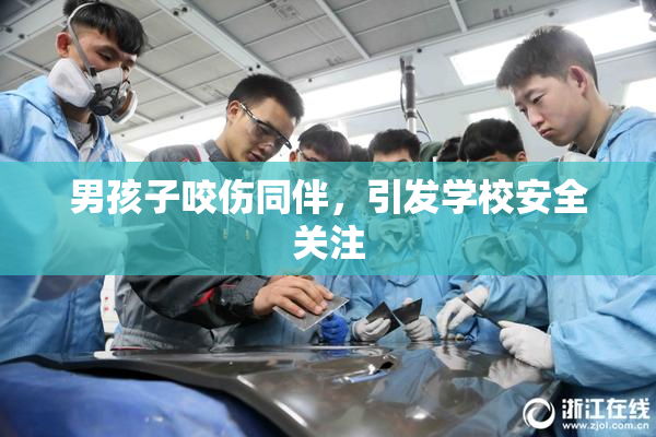男孩子咬伤同伴，引发学校安全关注