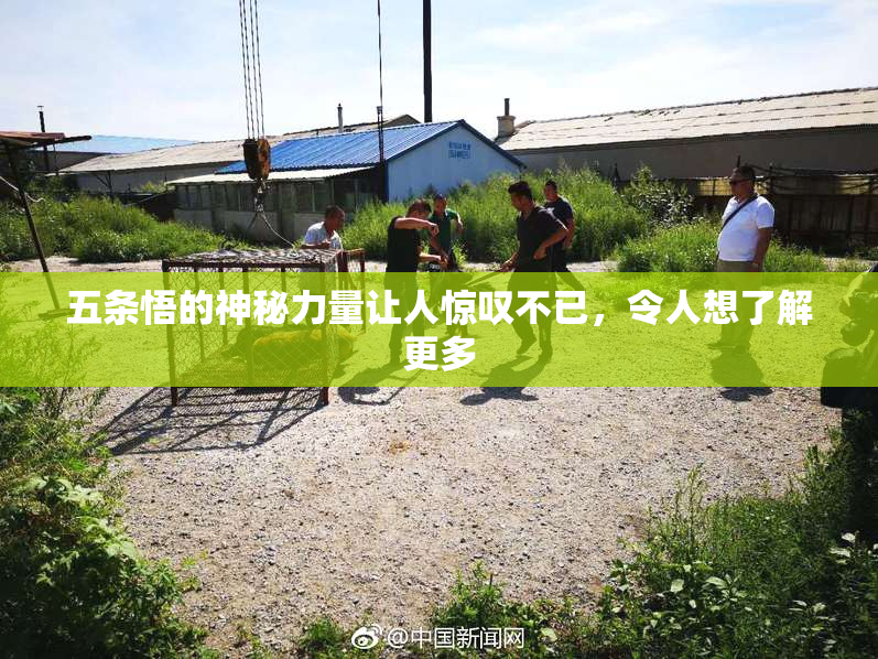 五条悟的神秘力量让人惊叹不已，令人想了解更多