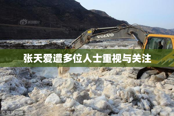 张天爱遭多位人士重视与关注