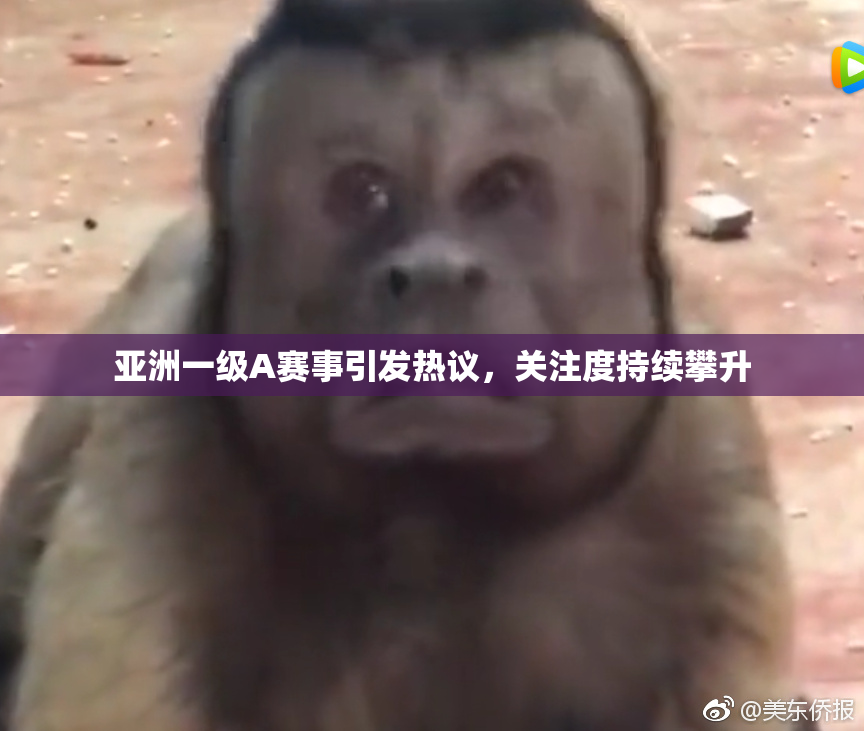 亚洲一级A赛事引发热议，关注度持续攀升