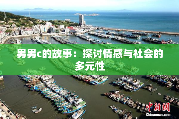 男男c的故事：探讨情感与社会的多元性