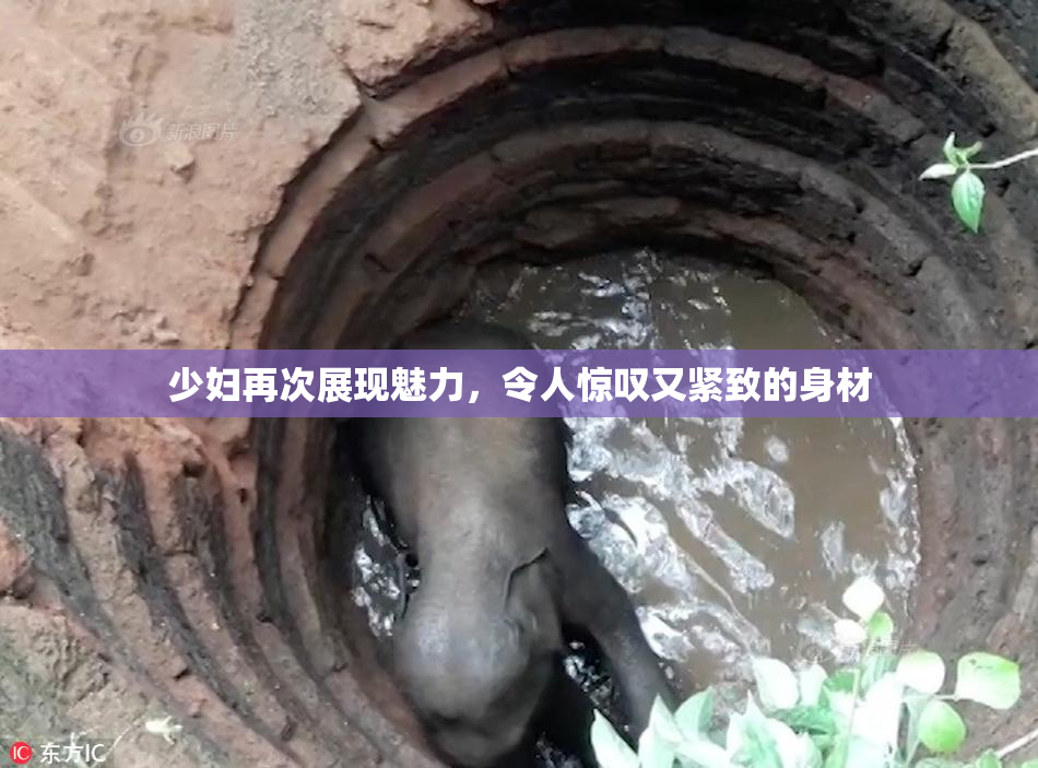 少妇再次展现魅力，令人惊叹又紧致的身材