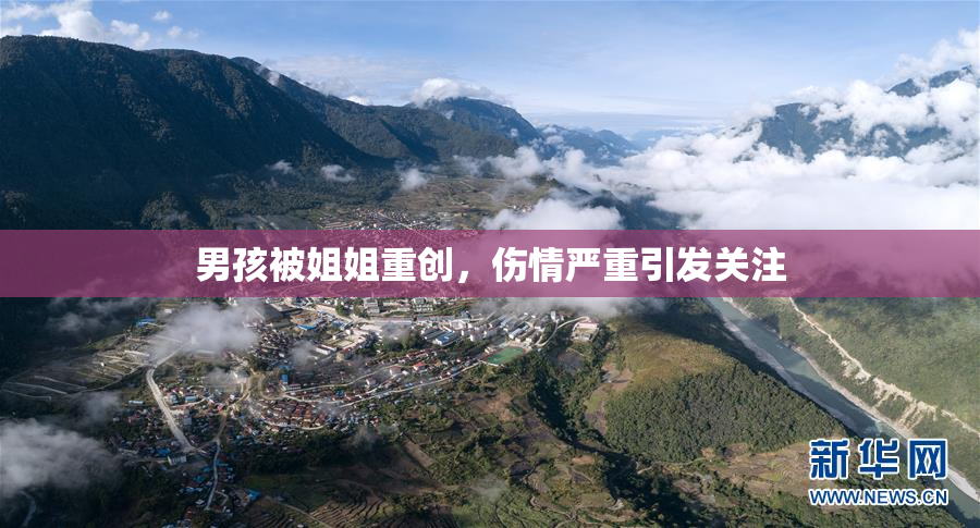 男孩被姐姐重创，伤情严重引发关注