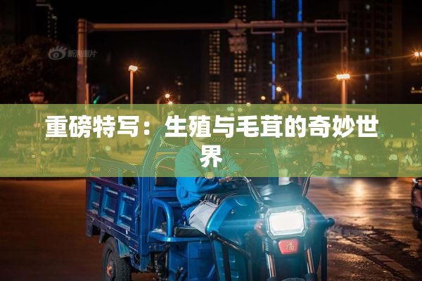 重磅特写：生殖与毛茸的奇妙世界
