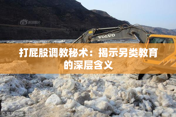 打屁股调教秘术：揭示另类教育的深层含义