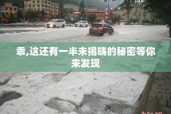 乖,这还有一半未揭晓的秘密等你来发现