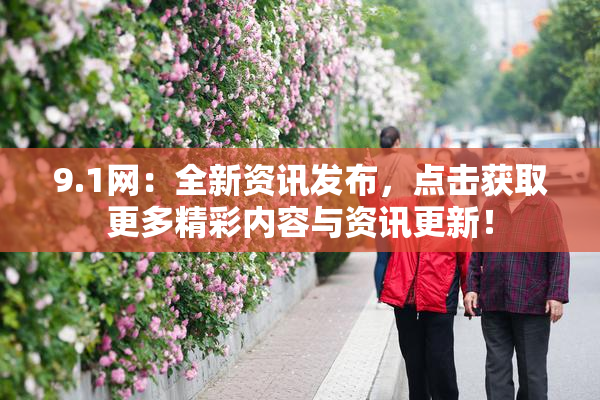 9.1网：全新资讯发布，点击获取更多精彩内容与资讯更新！