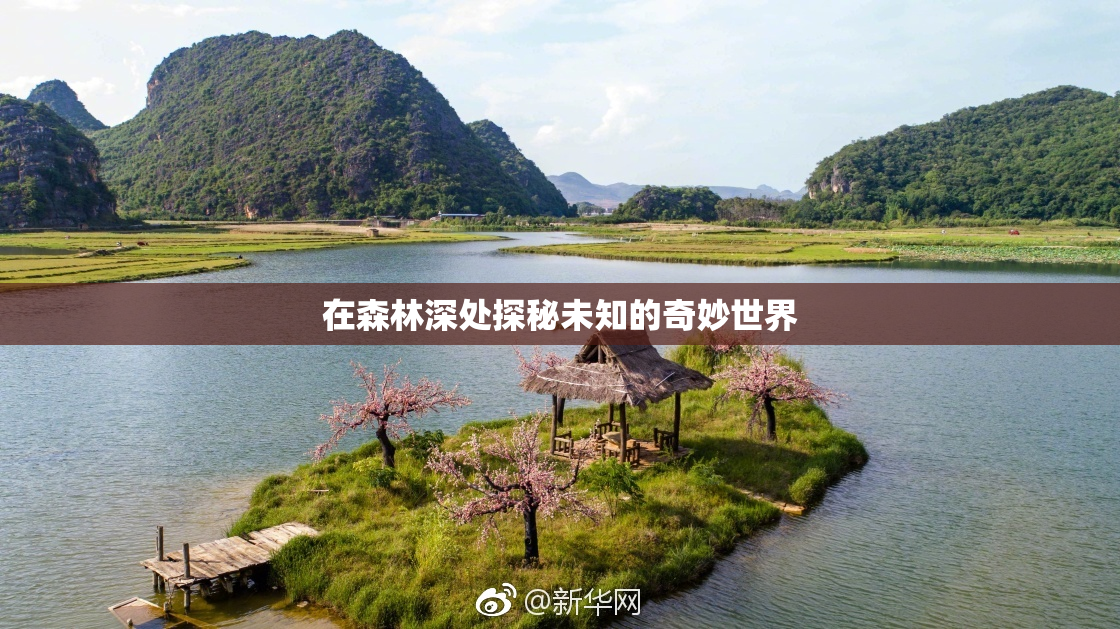 在森林深处探秘未知的奇妙世界