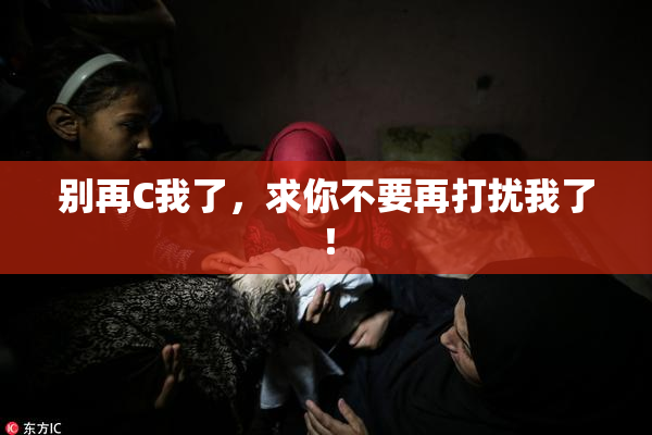 别再C我了，求你不要再打扰我了！