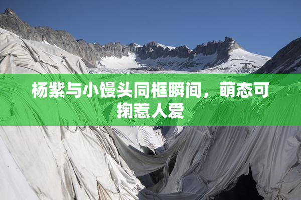 杨紫与小馒头同框瞬间，萌态可掬惹人爱