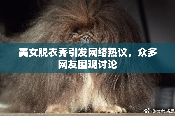 美女脱衣秀引发网络热议，众多网友围观讨论