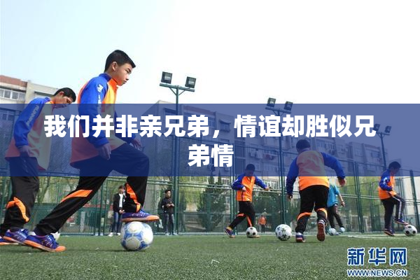 我们并非亲兄弟，情谊却胜似兄弟情