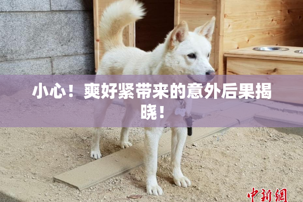小心！爽好紧带来的意外后果揭晓！