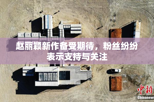赵丽颖新作备受期待，粉丝纷纷表示支持与关注