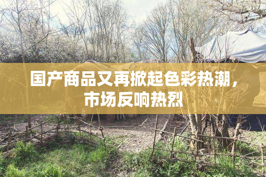国产商品又再掀起色彩热潮，市场反响热烈