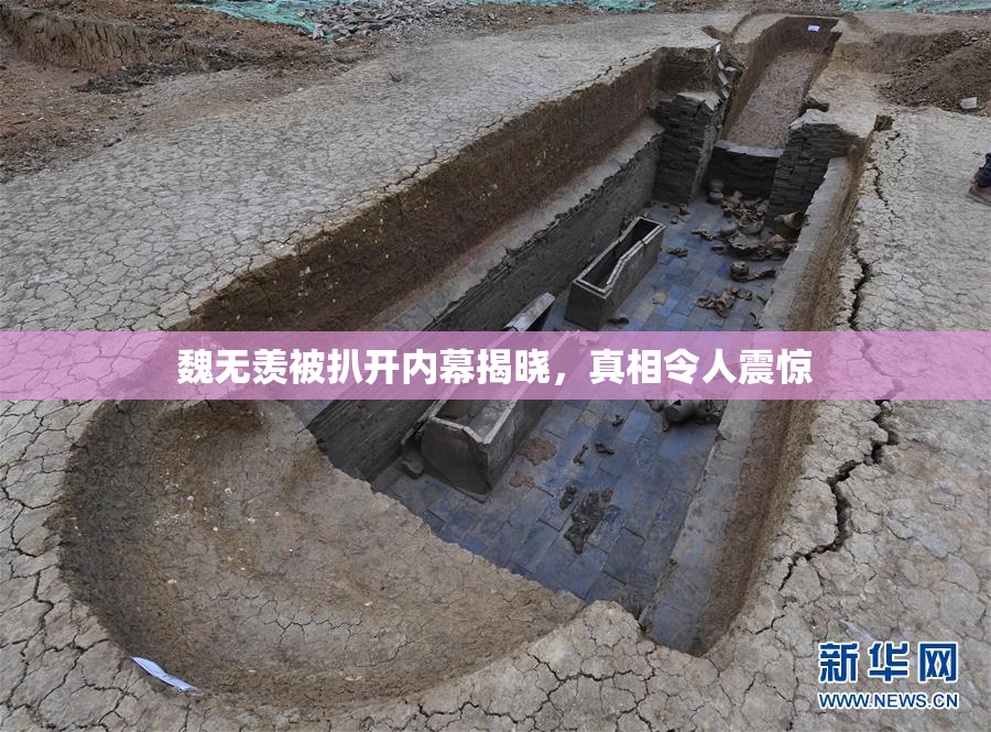 魏无羡被扒开内幕揭晓，真相令人震惊