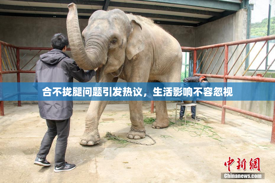 合不拢腿问题引发热议，生活影响不容忽视