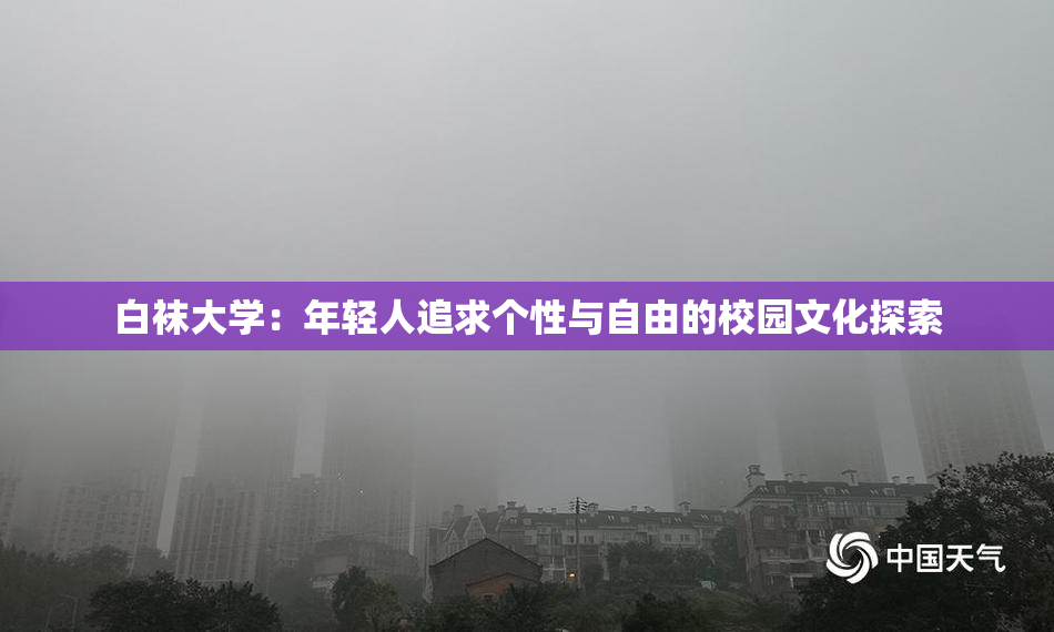 白袜大学：年轻人追求个性与自由的校园文化探索