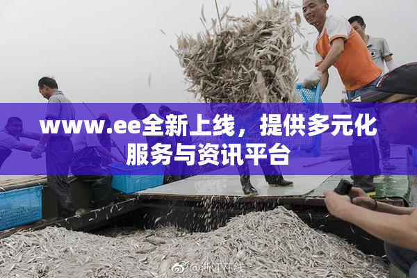 www.ee全新上线，提供多元化服务与资讯平台