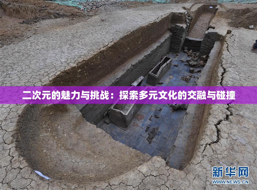 二次元的魅力与挑战：探索多元文化的交融与碰撞