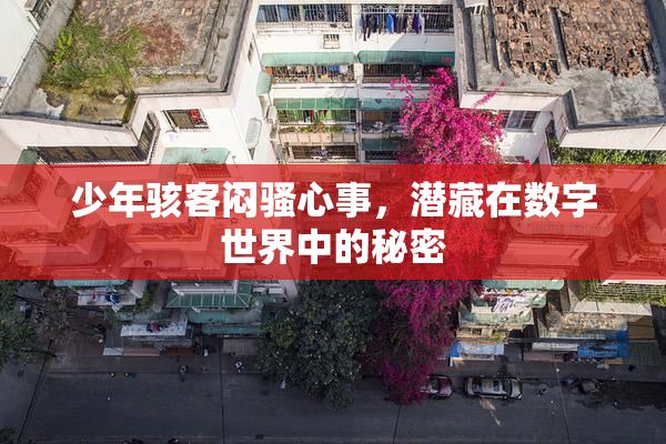 少年骇客闷骚心事，潜藏在数字世界中的秘密